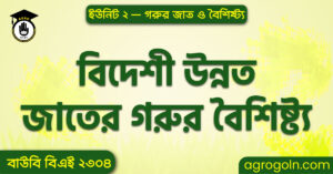 বিদেশী উন্নত জাতের গরুর বৈশিষ্ট্য