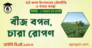 বীজ বপন, চারা রোপণ