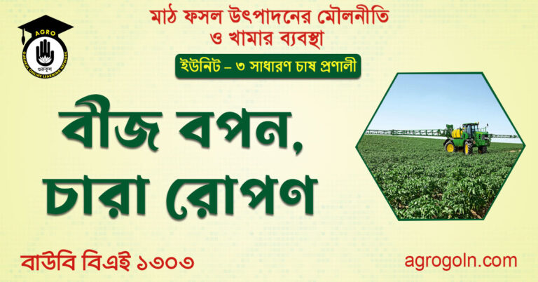 বীজ বপন, চারা রোপণ