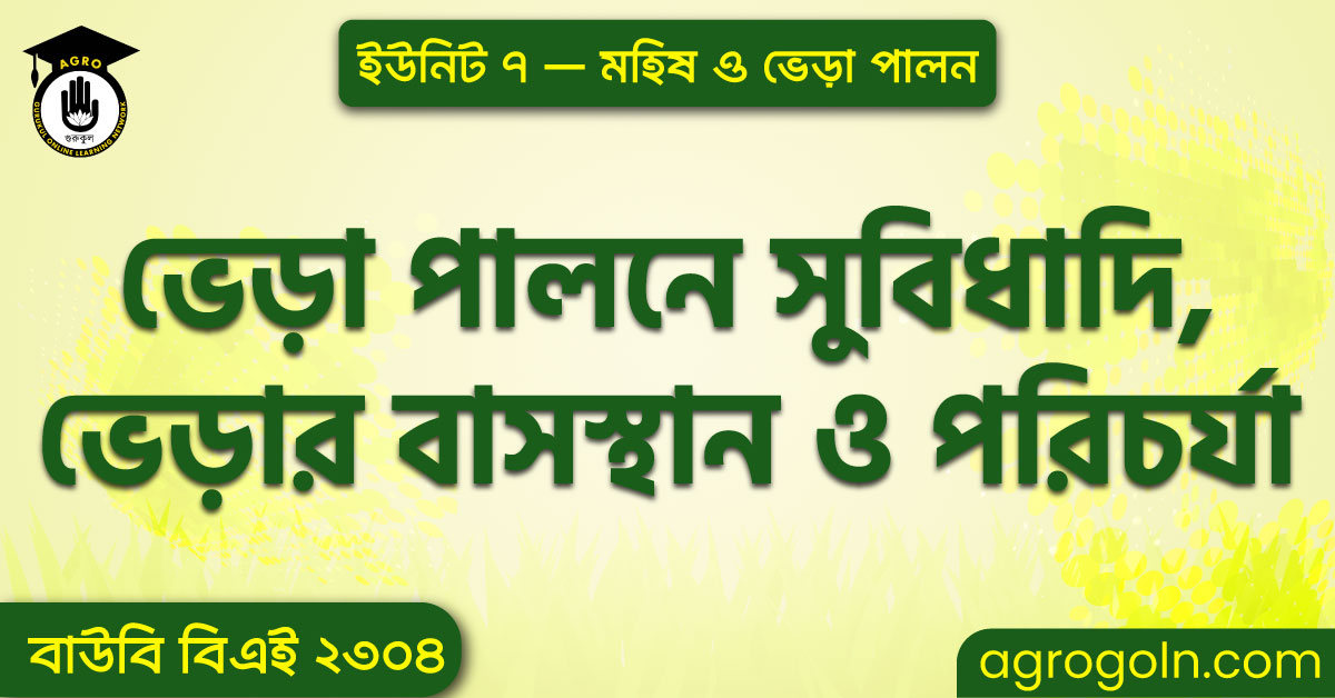 ভেড়া পালনে সুবিধাদি, ভেড়ার বাসস্থান ও পরিচর্যা 1 ভেড়া পালনে সুবিধাদি, ভেড়ার বাসস্থান ও পরিচর্যা