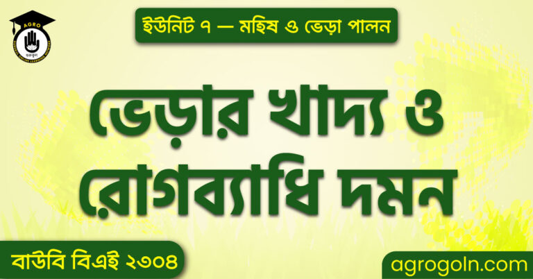 ভেড়ার খাদ্য ও রোগব্যাধি দমন