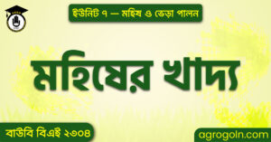 মহিষের খাদ্য