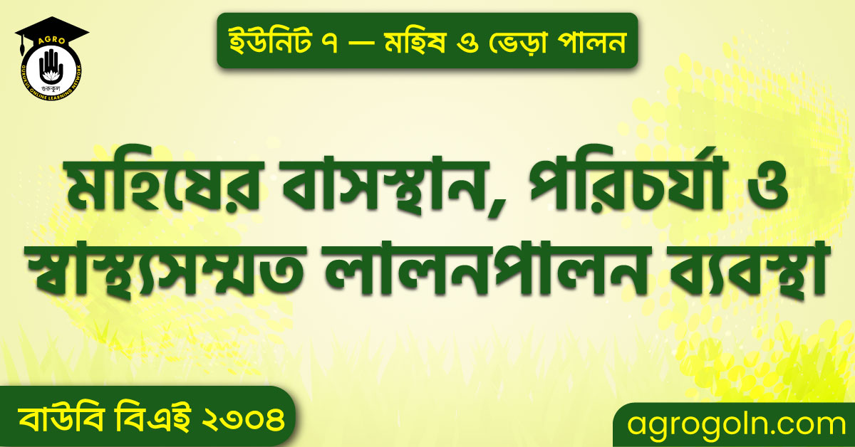 মহিষের বাসস্থান, পরিচর্যা ও স্বাস্থ্যসম্মত লালনপালন ব্যবস্থা 1 মহিষের বাসস্থান, পরিচর্যা ও স্বাস্থ্যসম্মত লালনপালন ব্যবস্থা