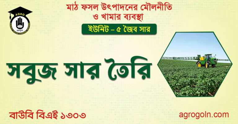 সবুজ সার তৈরি