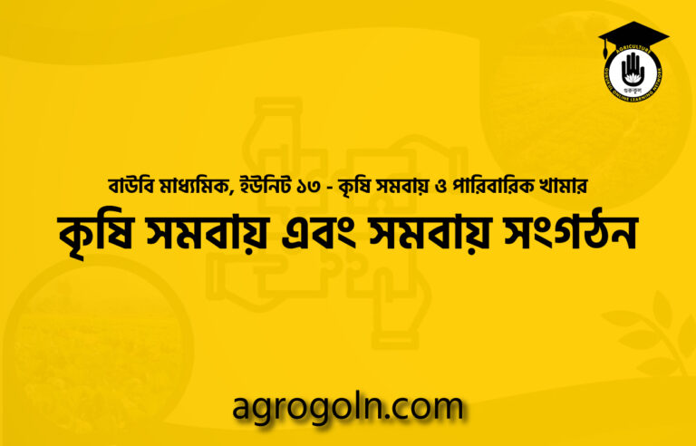 কৃষি সমবায় এবং সমবায় সংগঠন