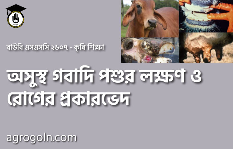 অসুস্থ গবাদি পশুর লক্ষণ ও রোগের প্রকারভেদ