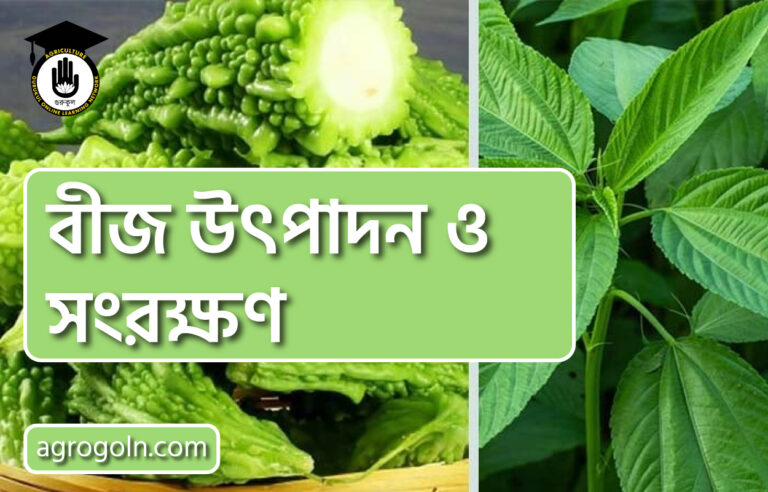 উদ্ভিদের পুষ্টি উপাদান