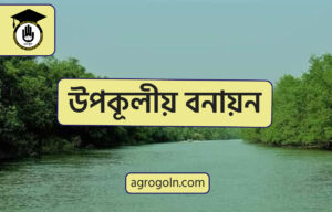 উপকূলীয় বনায়ন