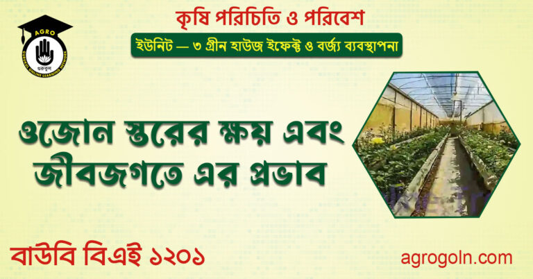 ওজোন স্তরের ক্ষয় এবং জীবজগতে এর প্রভাব