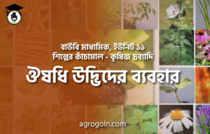 ঔষধি উদ্ভিদের ব্যবহার