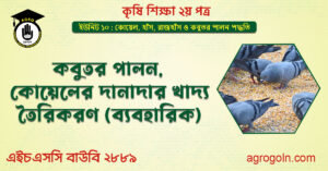 কবুতর পালন ,কোয়েলের দানাদার খাদ্য তৈরিকরণ