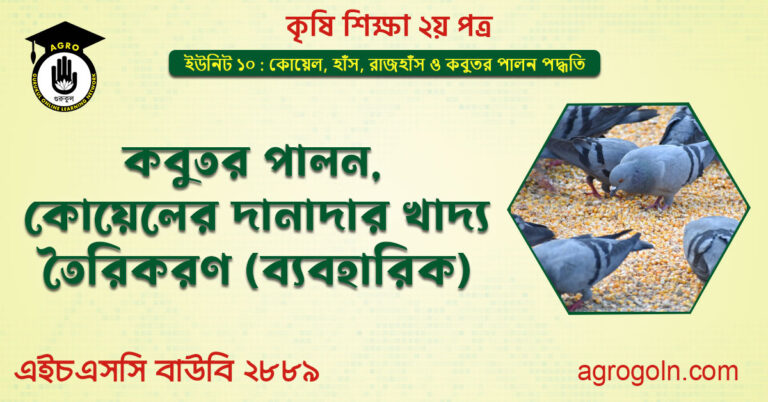 কবুতর পালন ,কোয়েলের দানাদার খাদ্য তৈরিকরণ