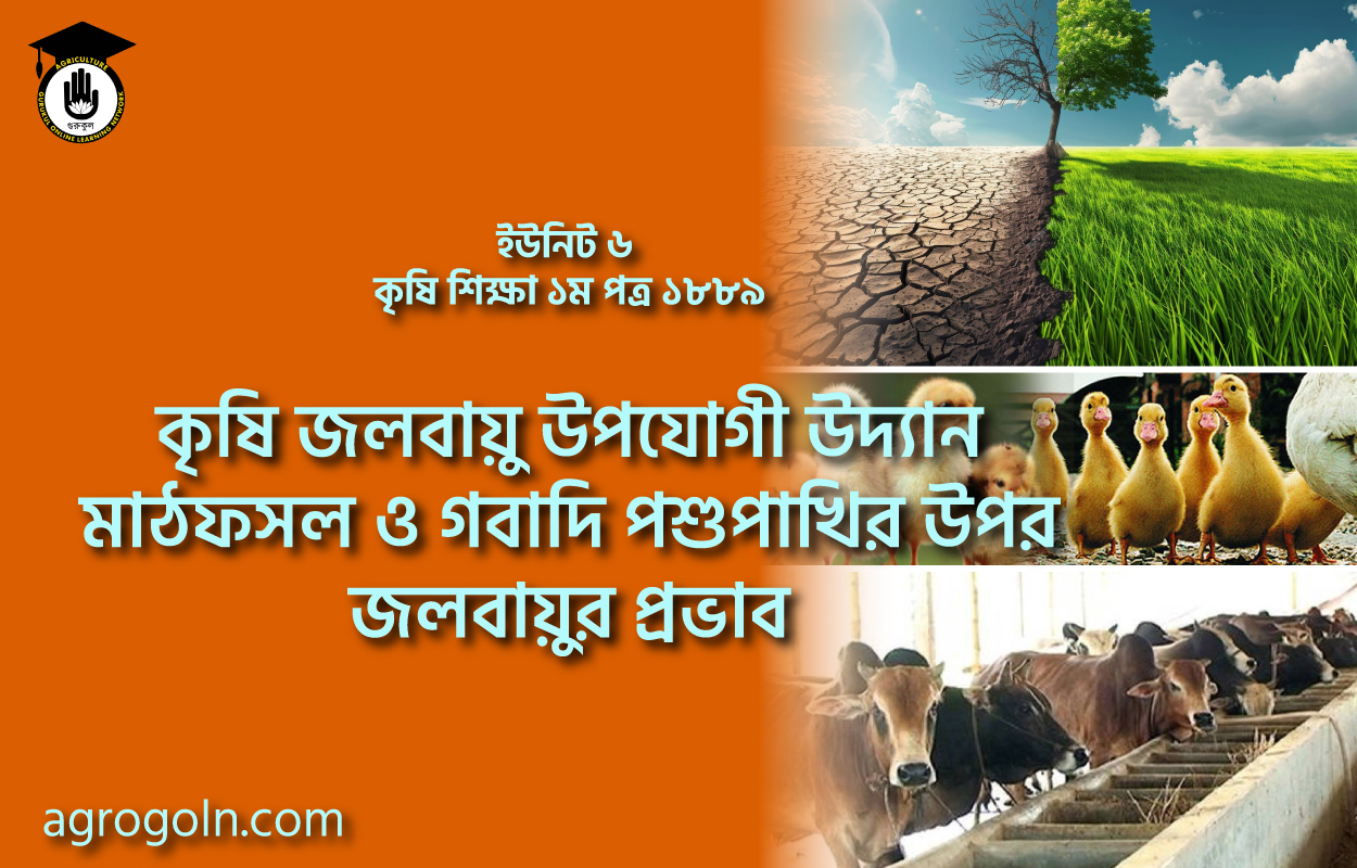 কৃষি জলবায়ু উপযোগী উদ্যান মাঠফসল ও গবাদি পশুপাখির উপর জলবায়ুর প্রভাব