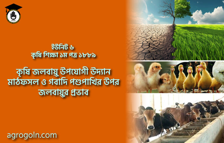 ফসল উৎপাদন, গবাদিপশু ও পাখি পালনে জলবায়ু পরিবর্তনে প্রভাব