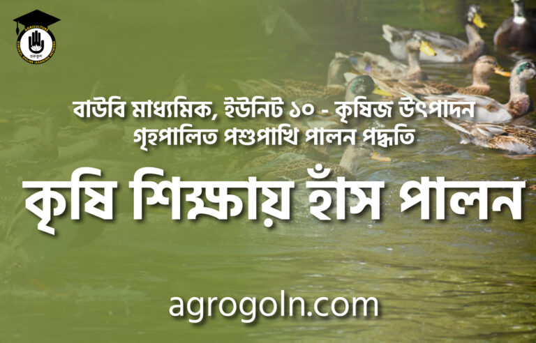 কৃষি শিক্ষায় হাঁস পালন