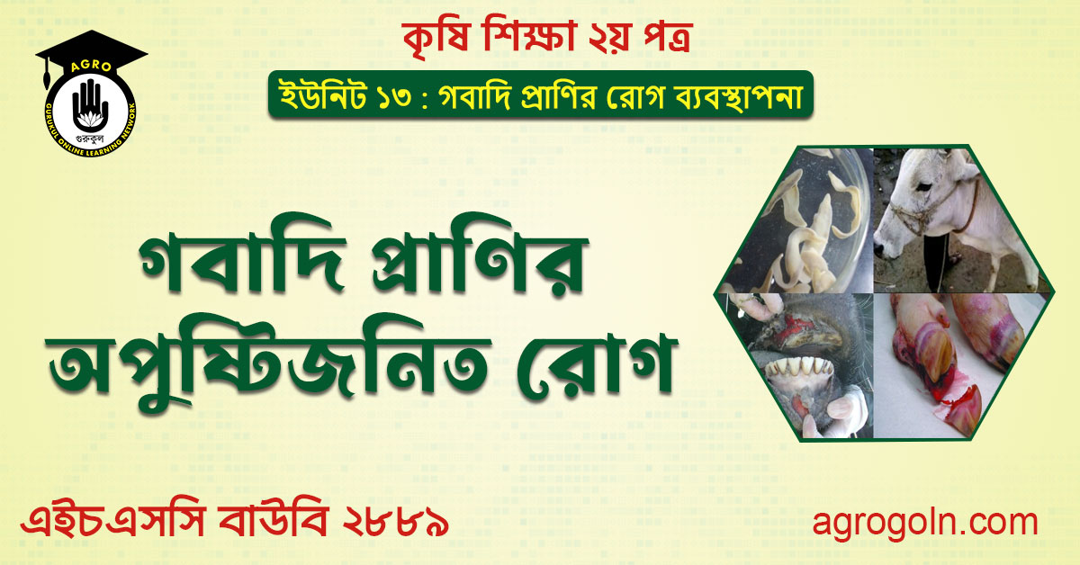 গবাদি প্রাণির অপুষ্টিজনিত রোগ 1 গবাদি প্রাণির অপুষ্টিজনিত রোগ