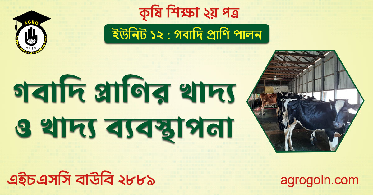 গবাদিপ্রাণির খাদ্য ও খাদ্য ব্যবস্থাপনা 1 গবাদি প্রাণির খাদ্য ও খাদ্য ব্যবস্থাপনা