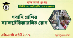 গবাদি প্রাণির ব্যাকটেরিয়াজনিত রোগ গবাদি-প্রাণির-ব্যাকটেরিয়াজনিত-রোগ