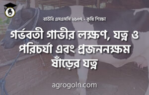 গর্ভবতী গাভীর লক্ষণ, যত্ন ও পরিচর্যা এবং প্রজননক্ষম ষাঁড়ের যত্ন