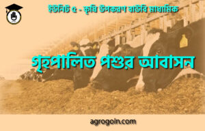 গৃহপালিত পশুর আবাসন