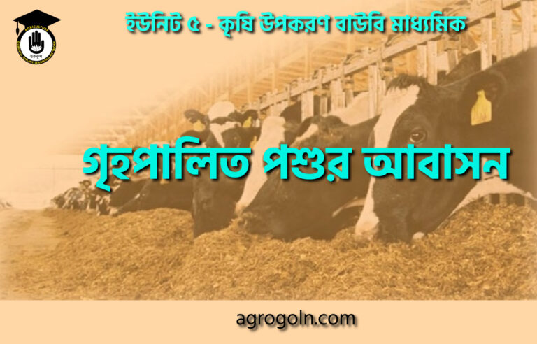 গৃহপালিত পশুর আবাসন