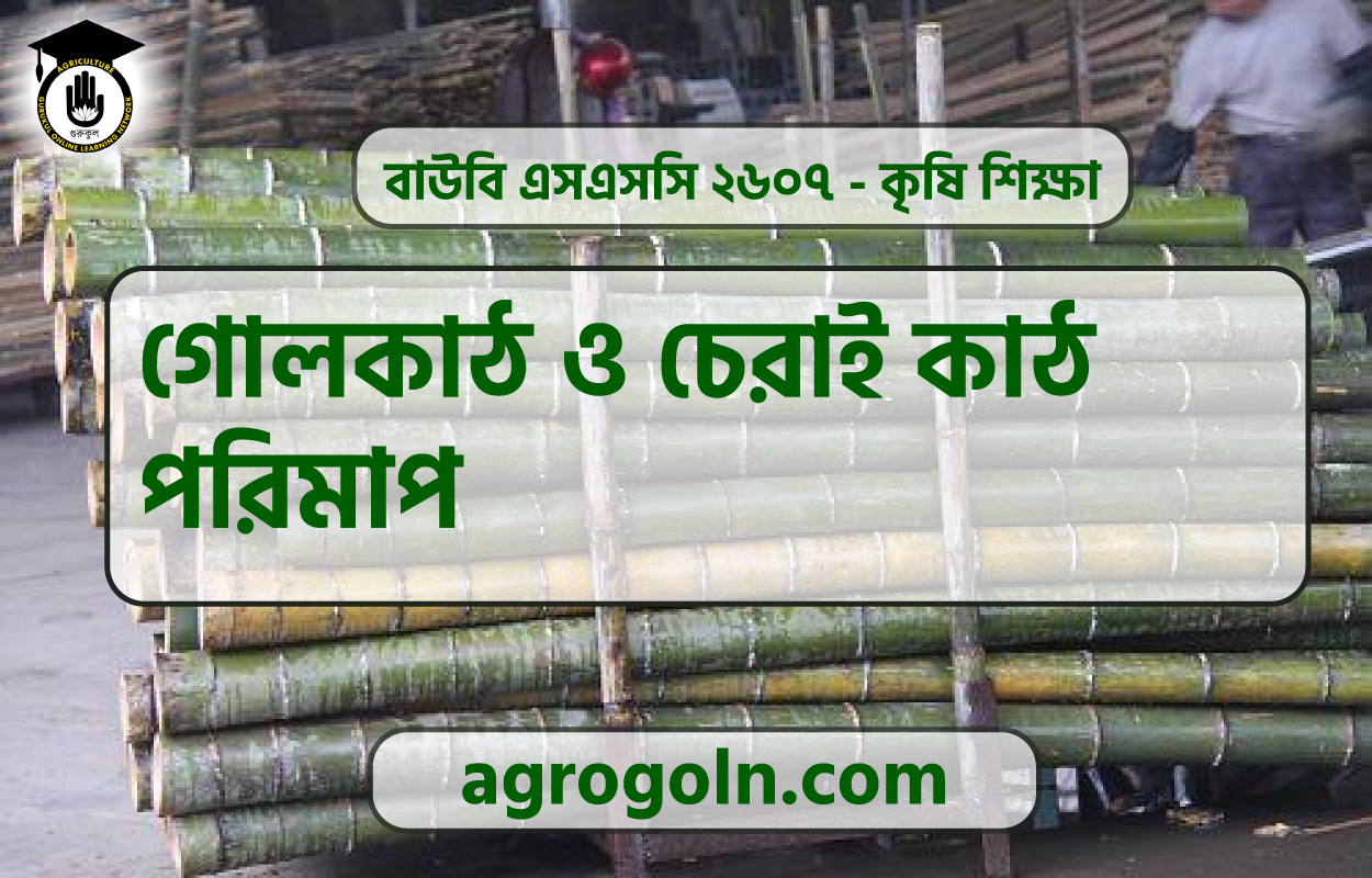গোলকাঠ ও চেরাই কাঠ পরিমাপ 1 গোলকাঠ ও চেরাই কাঠ পরিমাপ