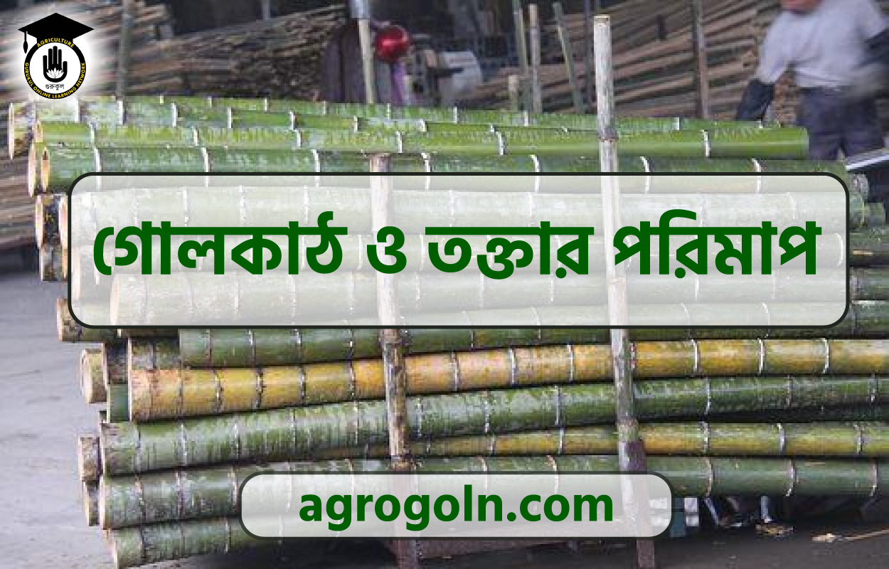 ব্যবহারিক: গোলকাঠ ও তক্তার পরিমাপ 1 গোলকাঠ ও তক্তার পরিমাপ