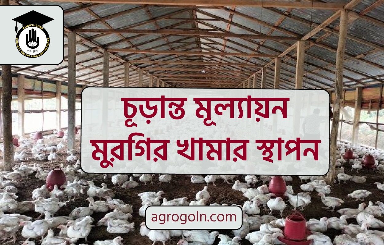 চূড়ান্ত মূল্যায়ন – মুরগির খামার স্থাপন