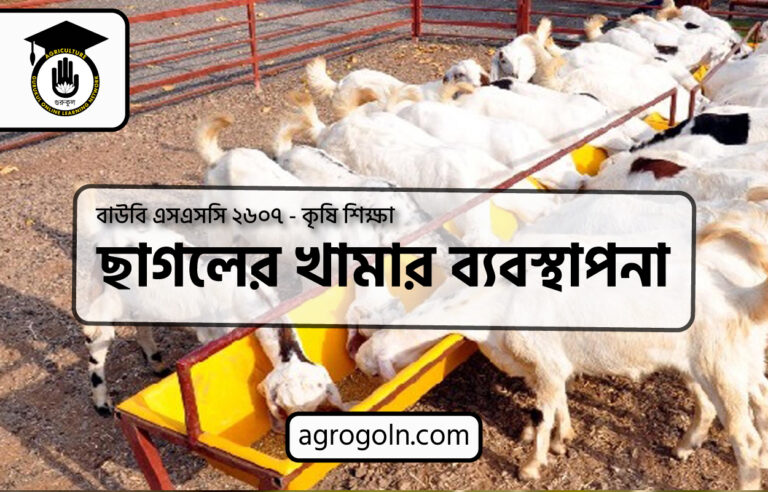 ছাগলের খামার ব্যবস্থাপনা
