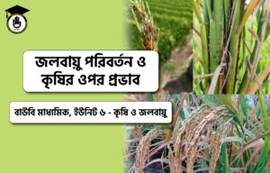 জলবায়ু পরিবর্তন ও কৃষির ওপর প্রভাব