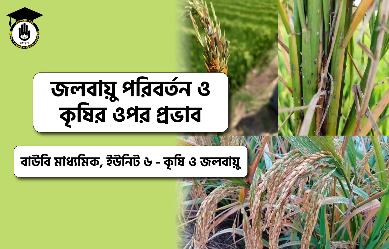 জলবায়ু পরিবর্তন ও কৃষির ওপর প্রভাব 1 জলবায়ু পরিবর্তন ও কৃষির ওপর প্রভাব