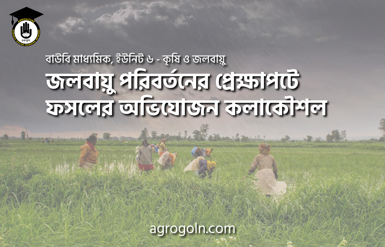 জলবায়ু পরিবর্তনের প্রেক্ষাপটে ফসলের অভিযোজন কলাকৌশল 1 জলবায়ু পরিবর্তনের প্রেক্ষাপটে ফসলের অভিযোজন কলাকৌশল