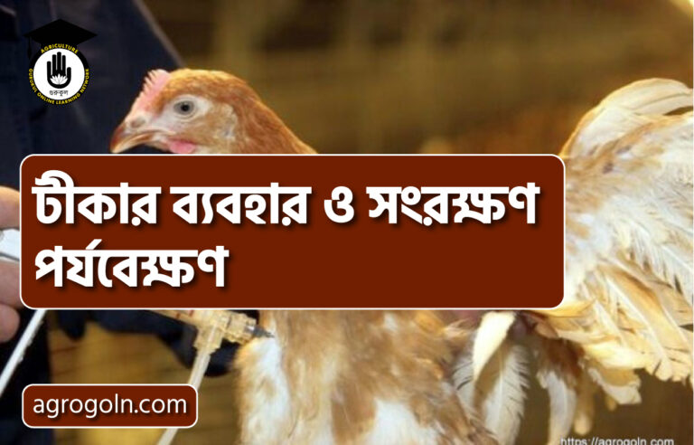 টীকার ব্যবহার ও সংরক্ষণ পর্যবেক্ষণ