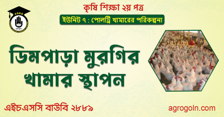ডিম পাড়া মুরগির খামার স্থাপন