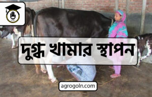 চূড়ান্ত মূল্যায়ন- দুগ্ধ খামার স্থাপন