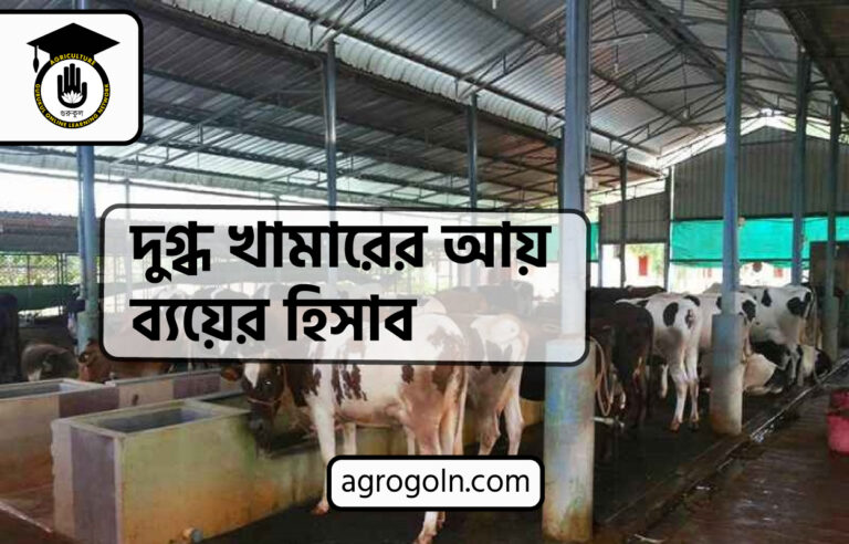 দুগ্ধ খামারের আয় ব্যয়ের হিসাব