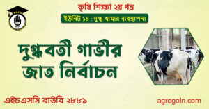 দুগ্ধবতী গাভীর জাত নির্বাচন দুগ্ধবতী-গাভীর-জাত-নির্বাচন