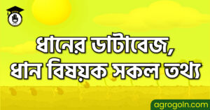 ধানের ডাটাবেজ, ধান বিষয়ক সকল তথ্য