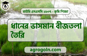 ধানের ভাসমান বীজতলা তৈরি