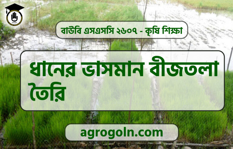 ধানের ভাসমান বীজতলা তৈরি