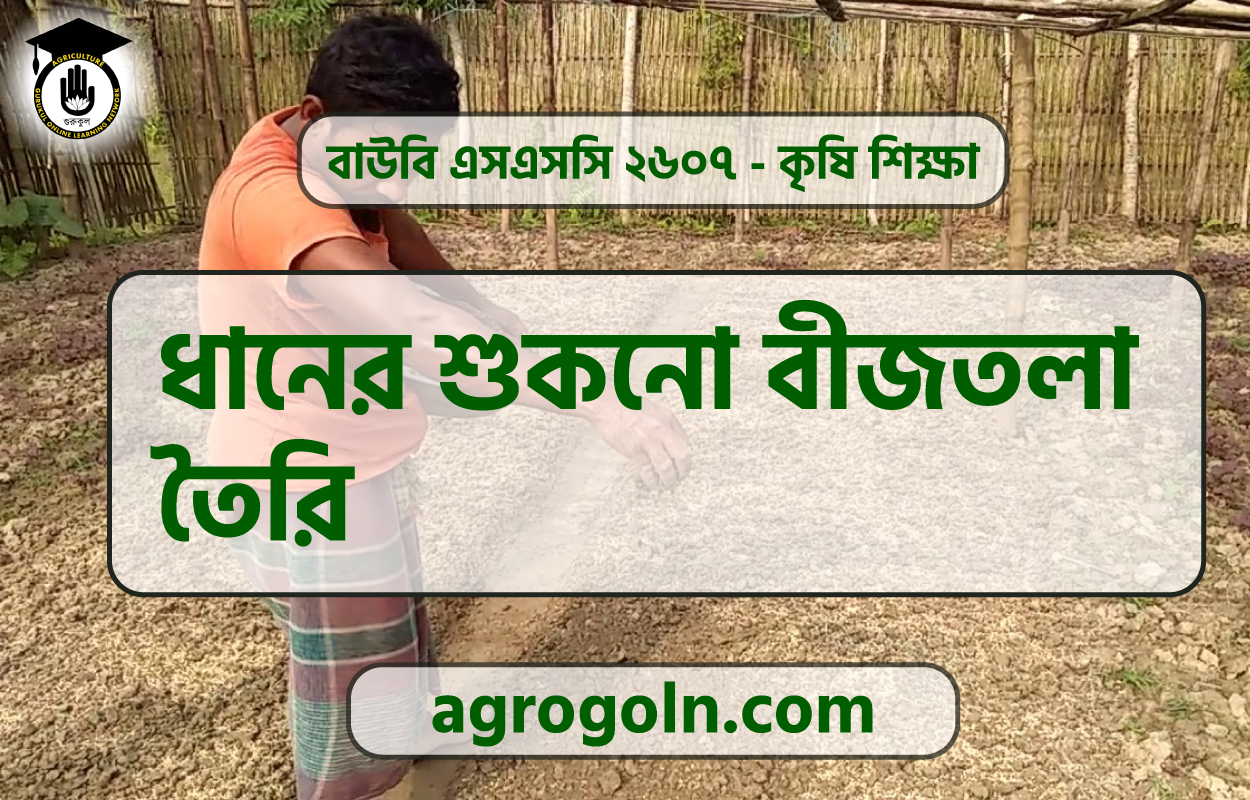 ধানের শুকনো বীজতলা তৈরি