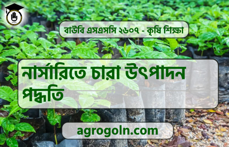 নার্সারিতে চারা উৎপাদন পদ্ধতি