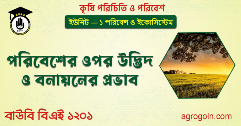 পরিবেশের ওপর উদ্ভিদ ও বনায়নের প্রভাব