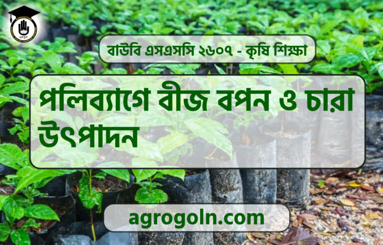 পলিব্যাগে বীজ বপন ও চারা উৎপাদন