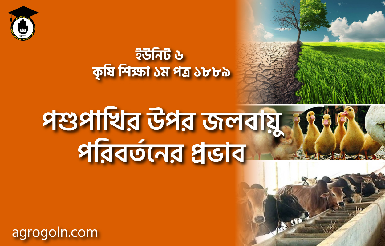 পশুপাখির উপর জলবায়ু পরিবর্তনের প্রভাব