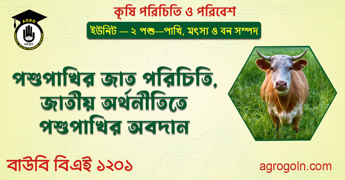 বিভিন্ন পশুপাখির জাত পরিচিতি 1 পশুপাখির জাত পরিচিতি, জাতীয় অর্থনীতিতে পশুপাখির অবদান