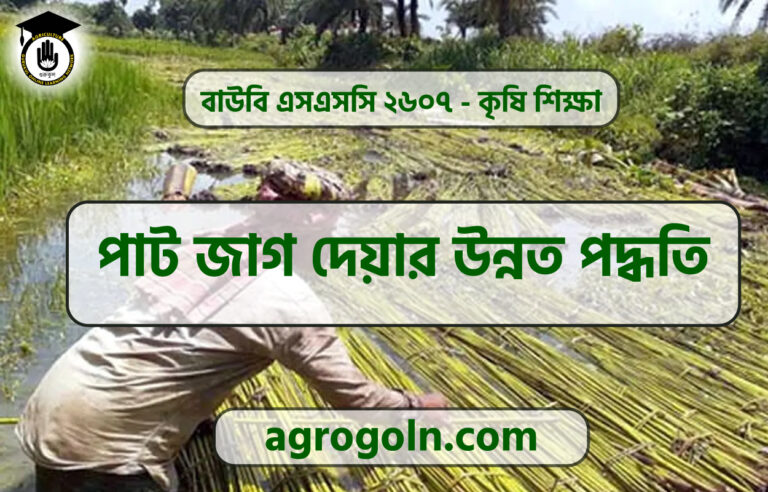 পাট জাগ দেয়ার উন্নত পদ্ধতি