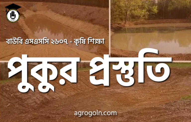 পুকুর প্রস্তুতি