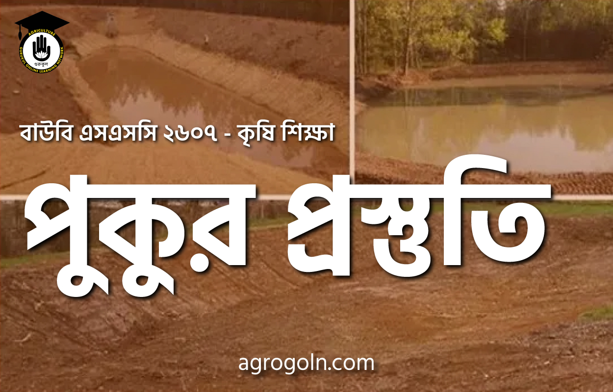 পুকুর প্রস্তুতি