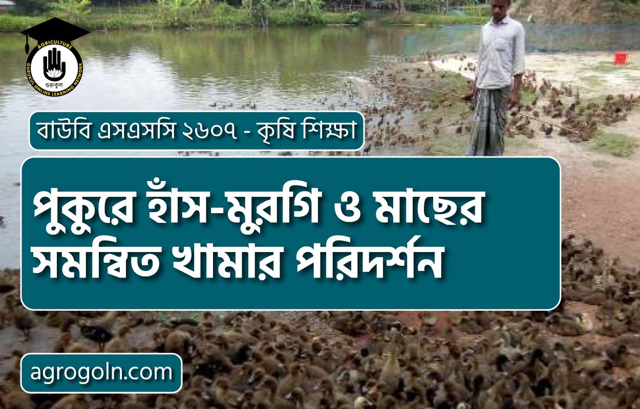 পুকুরে হাঁস-মুরগি ও মাছের সমন্বিত খামার পরিদর্শন